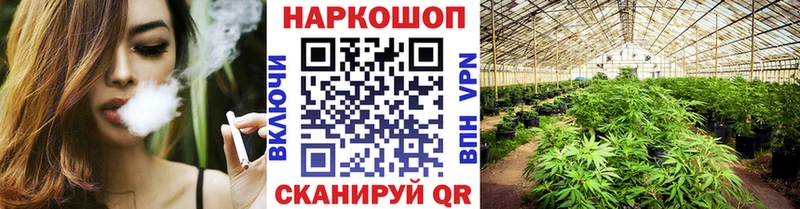 Как найти наркотики Очёр Героин  Бошки Шишки  КОКАИН  гидра ссылка  ГАШ  A-PVP  МЕФ 