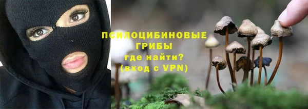 гашик Белоозёрский