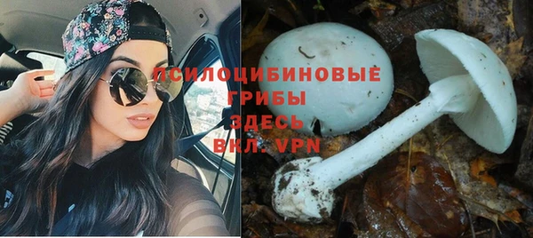 MDMA Белокуриха