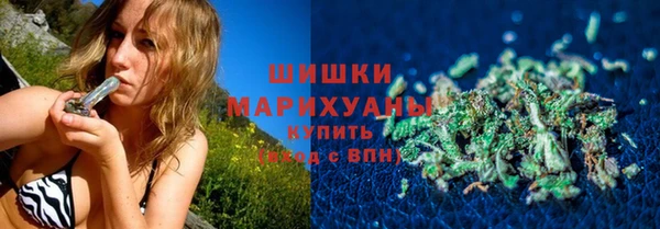 гашик Белоозёрский