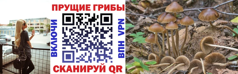 Псилоцибиновые грибы Cubensis  Очёр 